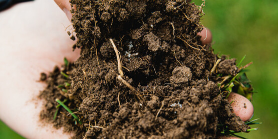 Soil