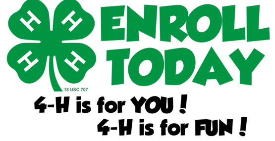 4-H enrollment night