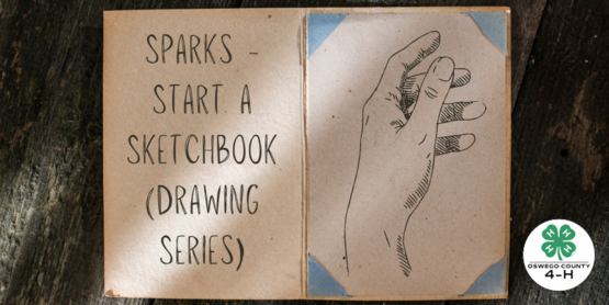 Sparks - Start a Sketchbook (Drawing Series)
