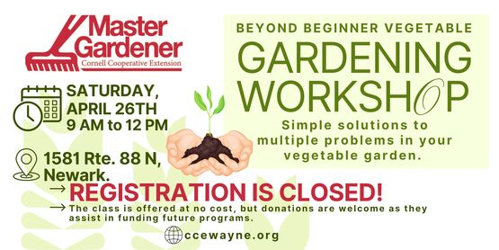 A FREE program for people to learn methods to get more out of their vegetable garden.