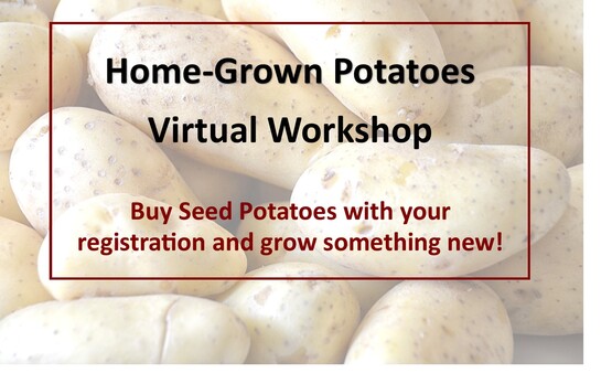 Home-Grown Potatoes Virtual Workshop