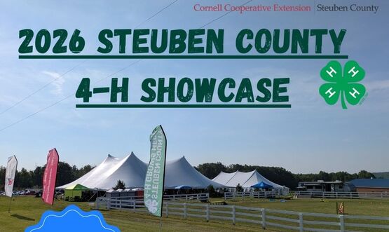 2026 4-H showcase