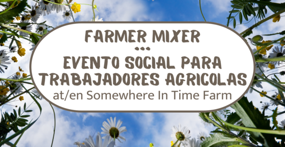BANNER Somewhere In Time Farmer Mixer 