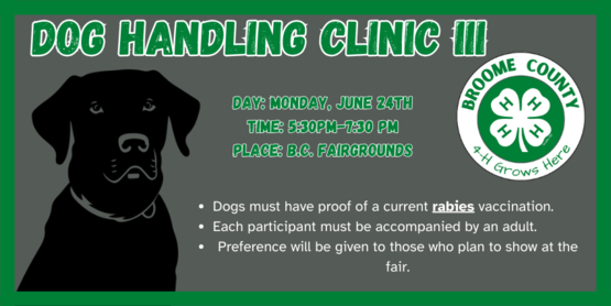 4-H'er will learn dog handling skills in preparation to show at the Broome County Fair.