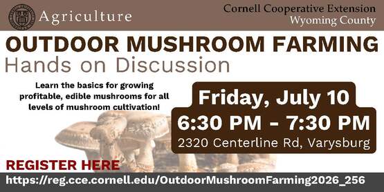mushroom