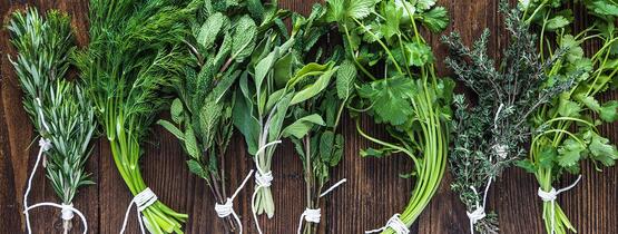 Herbs to flavor food