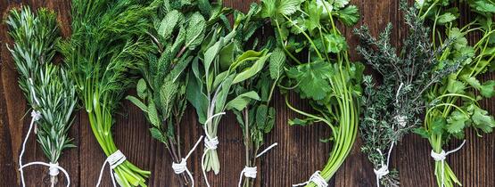 Herbs to flavor food