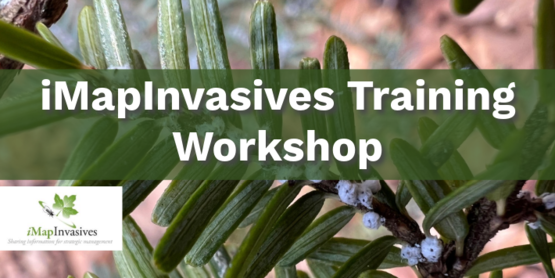 iMapInvasives Training Workshop
