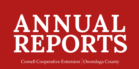 annual reports header