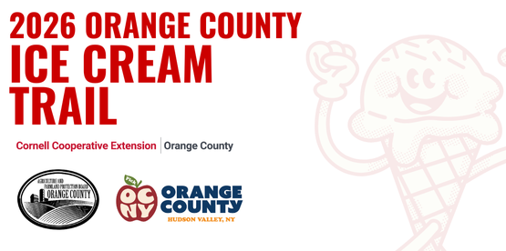 ice cream trail banner
