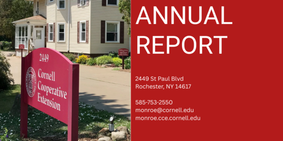 Annual Report