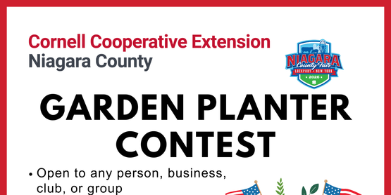 Niagara County Fair Planter Contest