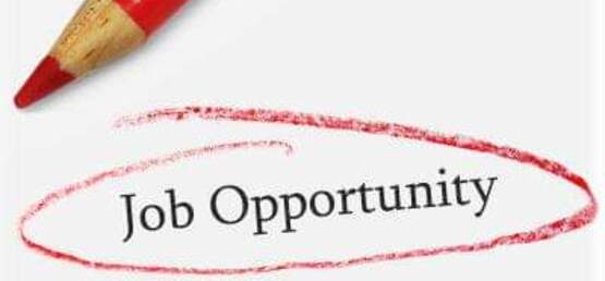 Job Opportunity