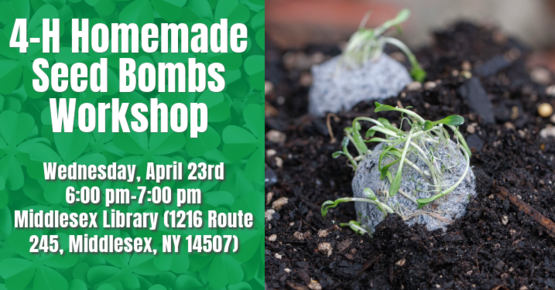 4-H Seed Bombs Workshop