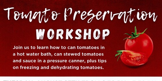 Tomato Preservation Workshop, August 27, 2024