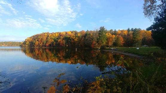 camp during fall