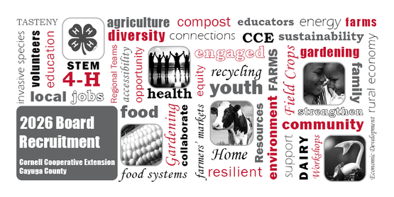 Wordle image comprised of many words that reflect Cooperative Extension's mission and programs.