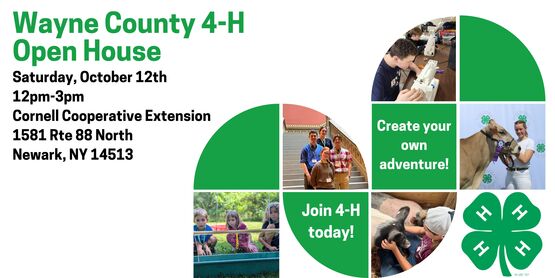 4-H Open House