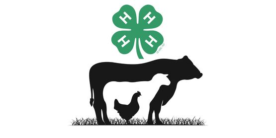 Livestock Auction Information Night