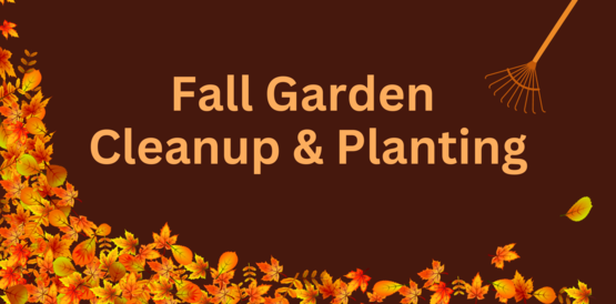 Fall Garden Cleanup