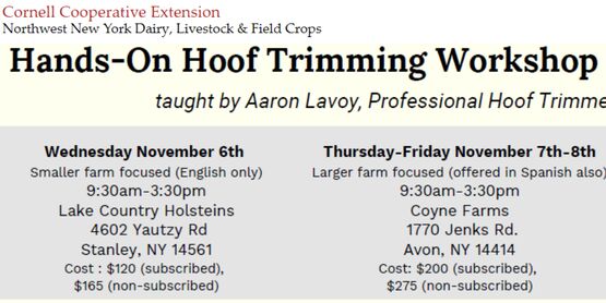 Hands-On Hoof Trimming Workshop