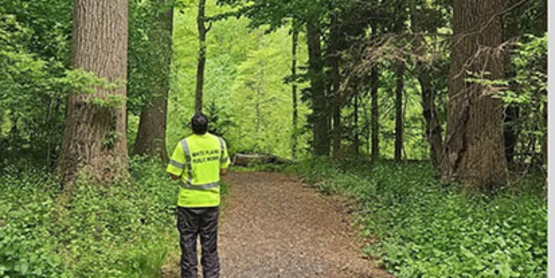 Tree Steward 