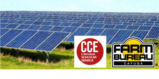 Solar & Ag Cayuga County 2024 with logo