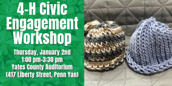4-H Civic Engagement Workshop