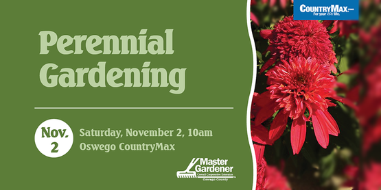 Perennial Garden