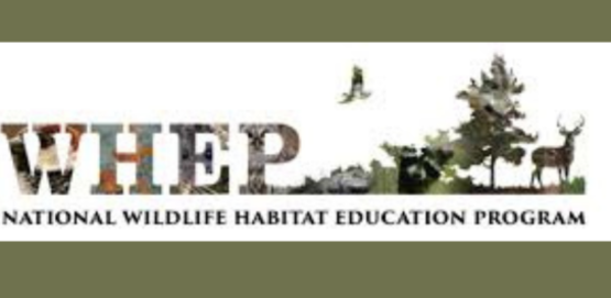 WHEP banner for website