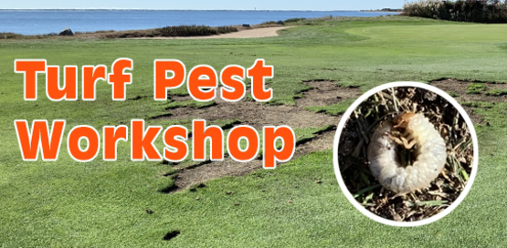 Turf Pest Workshop header