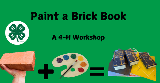 Paint a Brick Book Workshop