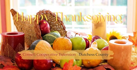 CCEDC Thanksgiving 2023
