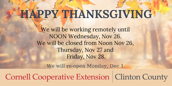 Thanksgiving Closure