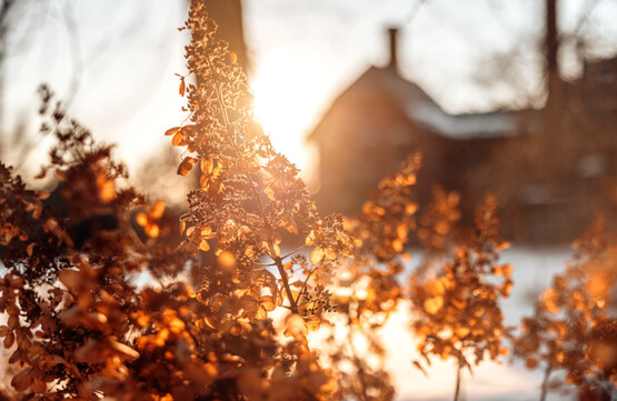 A.D. White gardens in winter.