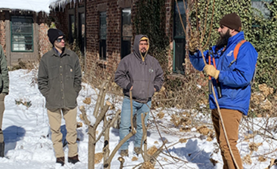 Pruning at PFA