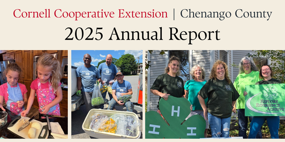 Annual Report Cover 2025