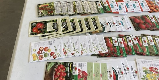 2024 Seed Swap