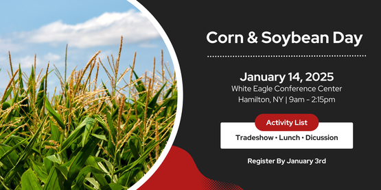 Corn and Soybean Day