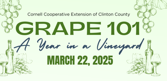 Grapes 101