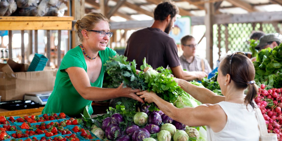 Early Morning Farm booth at the Ithaca Farmers' Market, 06/10/2013 (Cornell University Photography)