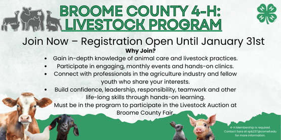 Join the 4-H Livestock Program – Registration Open Until January 31st!