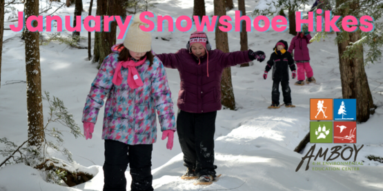 January Snowshoe HIkes