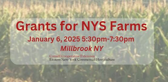 Grants for Farms 01 2025