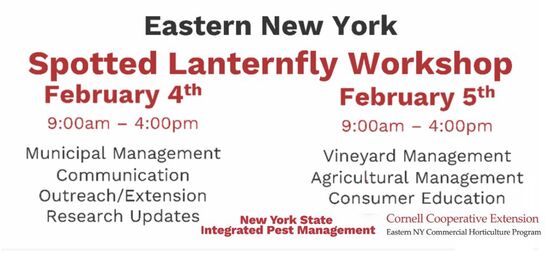 SLF Workshop 02 2025