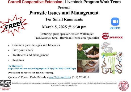 sheep and goat parasite flyer 2025