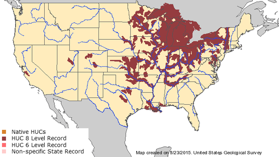 Zebra Mussel Map