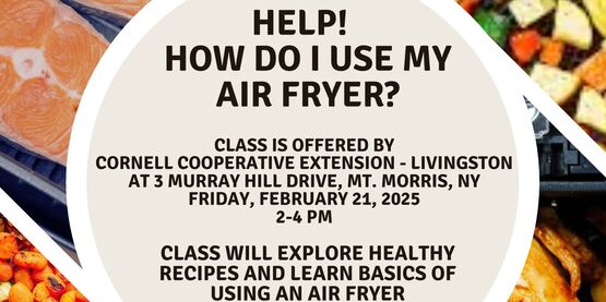 Air Fryer Class 