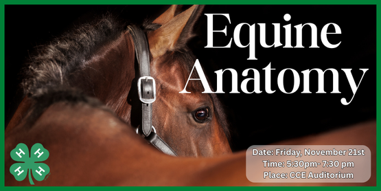 Members will meet regularly to share their passion for horses while studying equine science. They will create and keep their own study book to keep and use in preparation for participation in Horse Bowl and Hippology. Participation in the competitions is not required, but they will be the motivational force behind the course material.

Can you identify where the poll, croup, dock, hock, or fetlock are? Learning equine anatomy is important knowledge to have as a horse owner. Miniature horse Autumn will be back for this hands-on learning lesson on the basic body parts for our beginners.

Our more advanced group will learn about equine massage techniques as they go over the skeletal and muscular systems. As always, each week we will also review material presented at previous meetings through either hands-on activities, Kahoot, Horse Bowl practice, or other trivia games.


Who: Broome County 4-H Members

When: Friday, November 21, 2025

Time: 5:30 pm- 7:30 pm