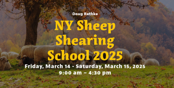 sheep shearing school 2025